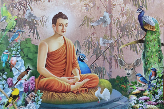 Gautam Buddha Dhyana Mudra poster (Pack of 2)