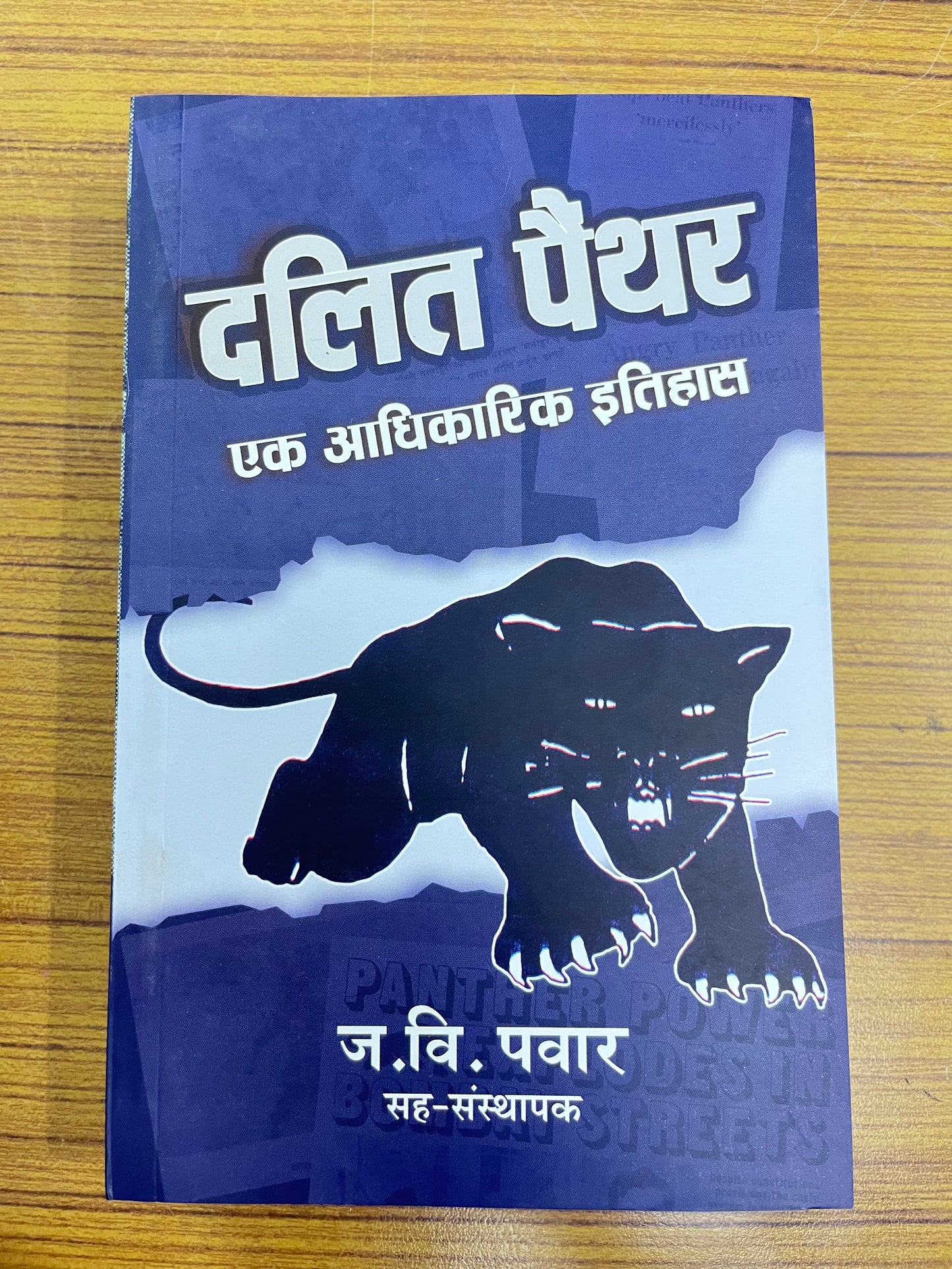 Dalit Panther : Ek Adhikarik Itihas