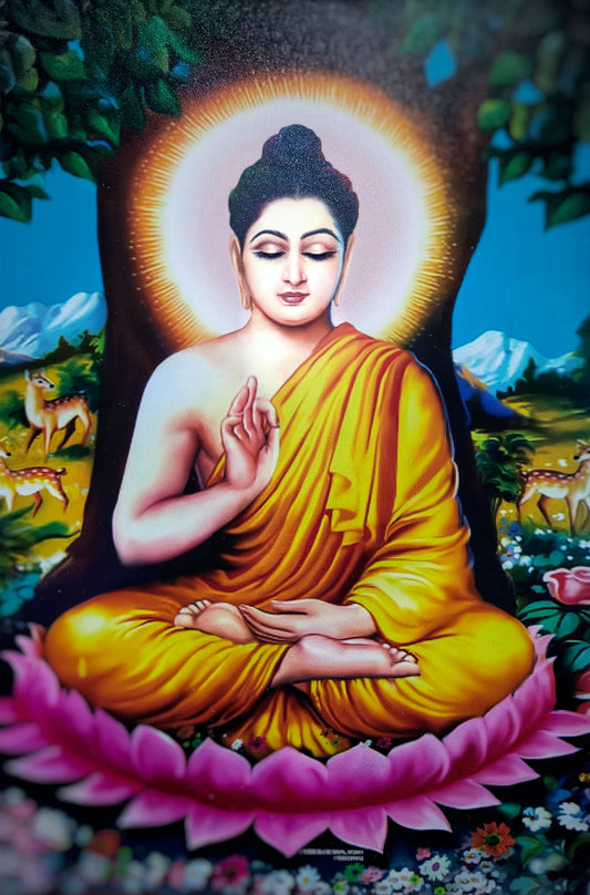 Buddha Vitarka Mudra Poster (Pack of 2)